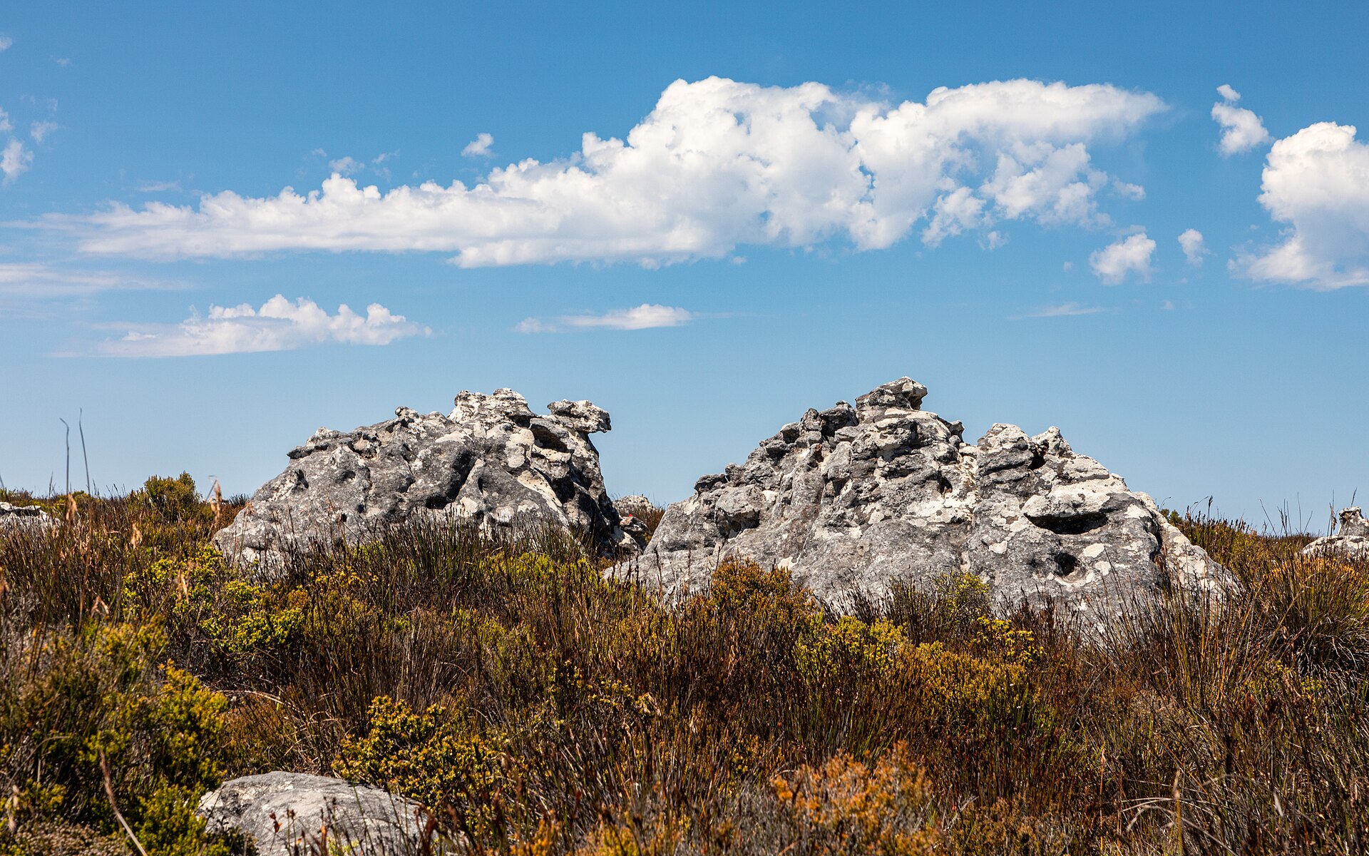 Le Cap — 7 nuits, montagne et vignobles